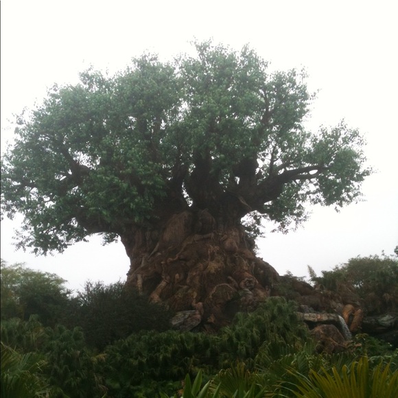 Meet your Posher, Nicole - Picture 4 of 8